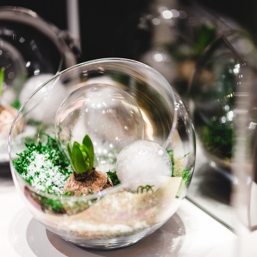 服务器攻击软件